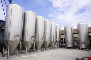 上海精釀酒廠設備貼標機 提升啤酒生產自動化與品牌形象的關鍵