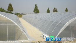 【邯鄲銷量好的農(nóng)用薄膜推薦:農(nóng)用薄膜代理加盟】_邯鄲銷量好的農(nóng)用薄膜推薦:農(nóng)用薄膜代理加盟價(jià)格_邯鄲銷量好的農(nóng)用薄膜推薦:農(nóng)用薄膜代理加盟廠家-到中華標(biāo)準(zhǔn)件網(wǎng)